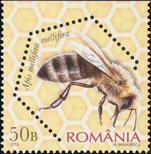 Stamp, Dark European Honey Bee (Apis mellifera mellifera), Romania,  , Animals (Fauna), Bees, Insects