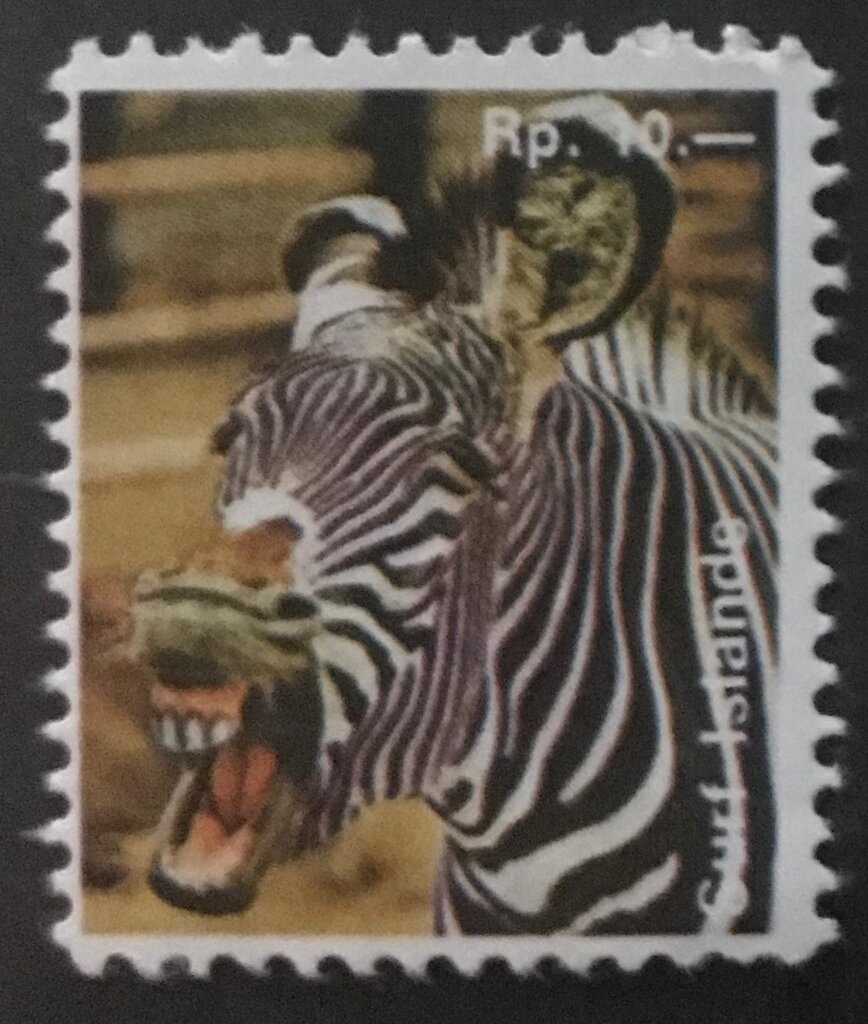 African Fauna - Zebra