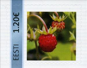Stamp, Metsmaasikad, Personalized and Private Mail Stamps,  , Fruits, Plants (Flora)
