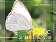 Butterflies of Sint Maarten