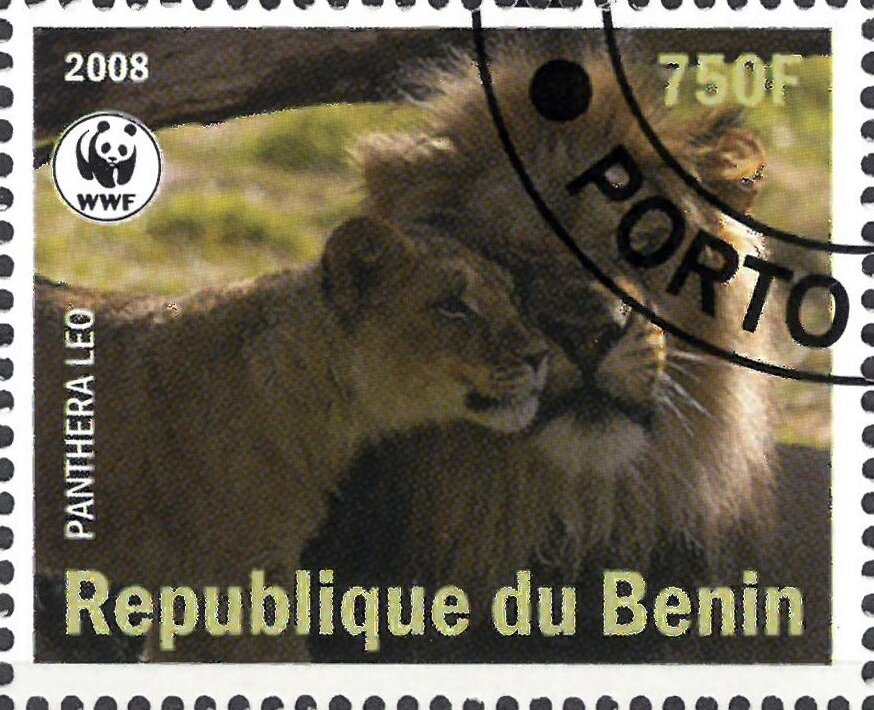 Panthera Leo