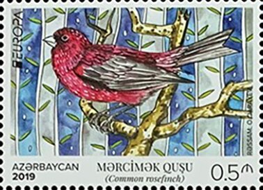 Common Rosefinch