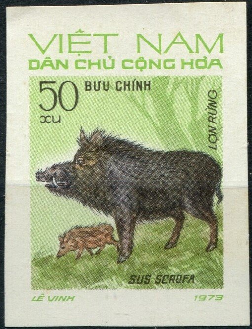 Wild Boar (Sus scrofa)