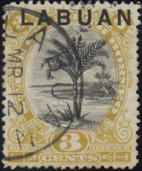 Sago Palm