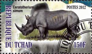 Stamp, Ceratotherium simum, Cinderellas,  , Animals (Fauna), Mammals, Rhinoceroses
