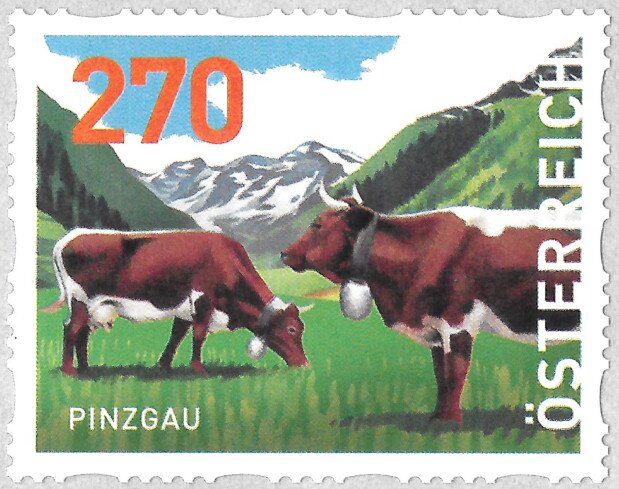 Pinzgau