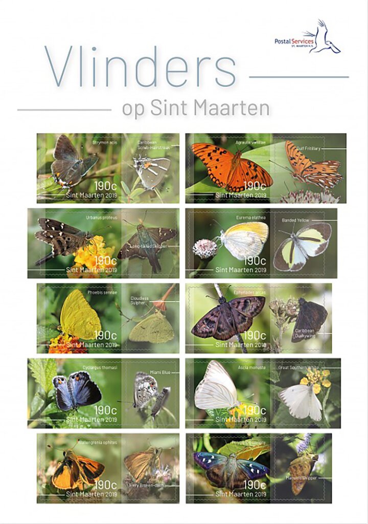 Butterflies of Sint Maarten