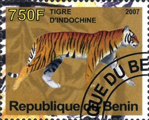 Stamp, Tigre d'Indochine, Cinderellas,  , Animals (Fauna), Mammals, Tigers