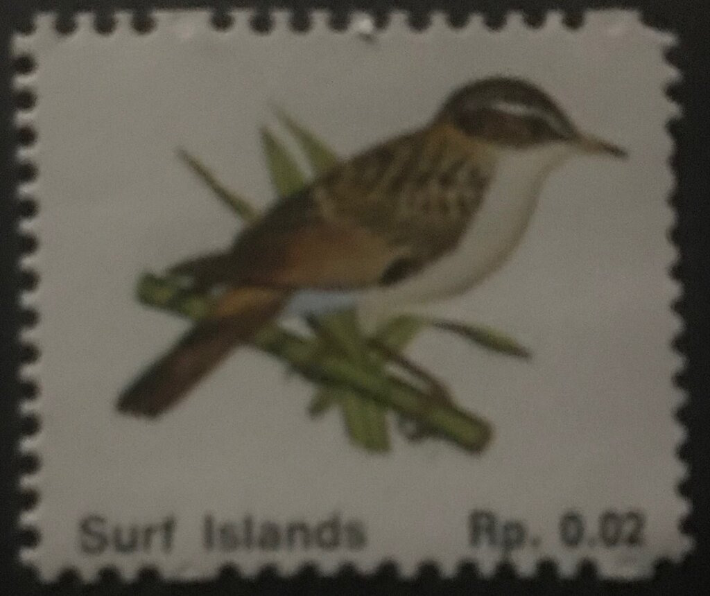 Surf Islands - Birds - Nightingate