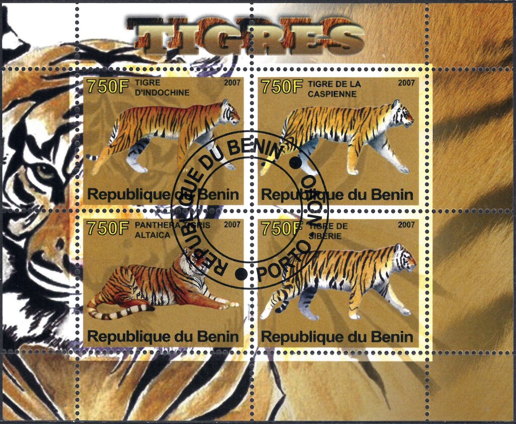 Tigres