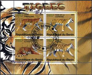 Mini Sheet, Tigres, Cinderellas,  , Animals (Fauna), Mammals, Tigers