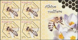 Souvenir Sheet, Caucasian Honey Bee (Apis mellifera caucasica), Romania,  , Animals (Fauna), Bees, Insects