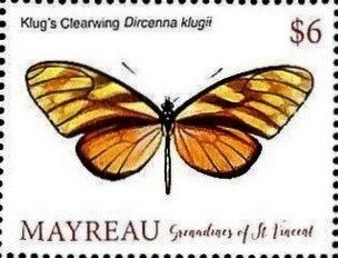 Dircenna klugii