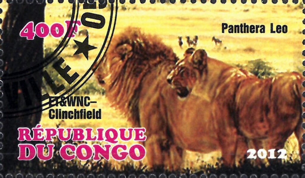 Panthera Leo