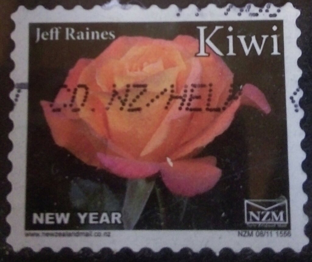Jeff Raines Rose