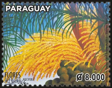 Stamp, Flowers of Paraguay, Paraguay,  , Flowers, Plants (Flora)