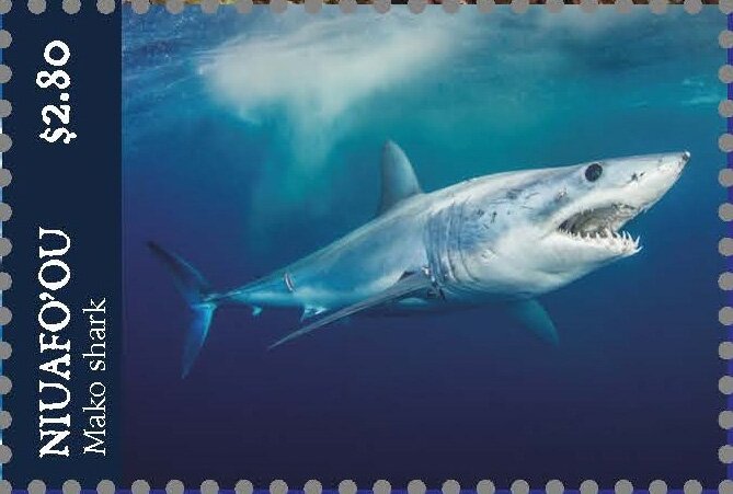 Mako Shark
