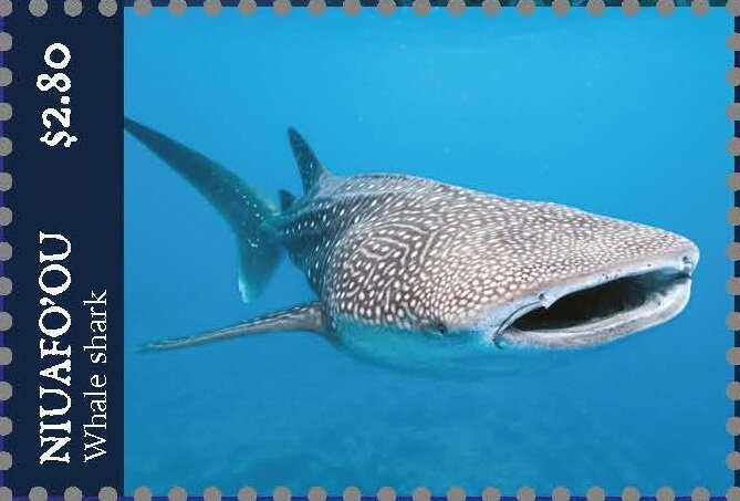 Whale Shark