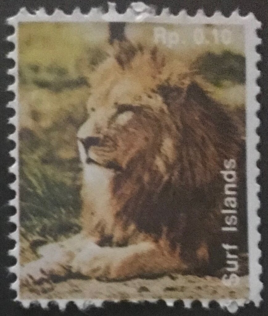 African Fauna - Leon