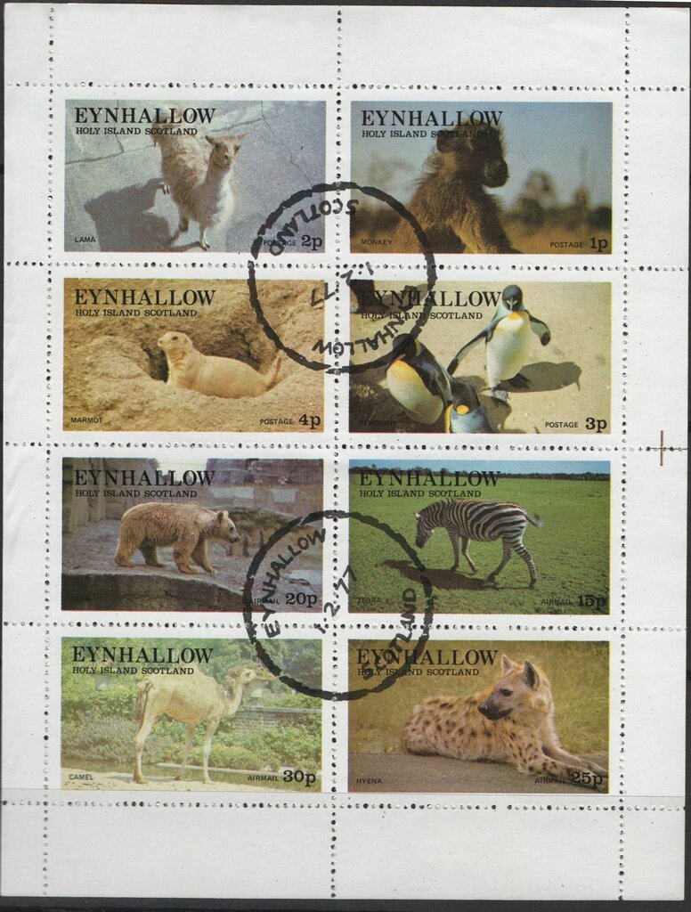 Animals