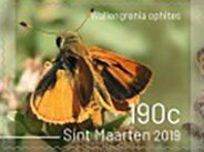 Butterflies of Sint Maarten