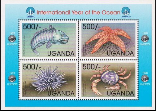International Year of the Ocean