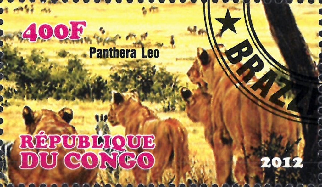 Panthera Leo