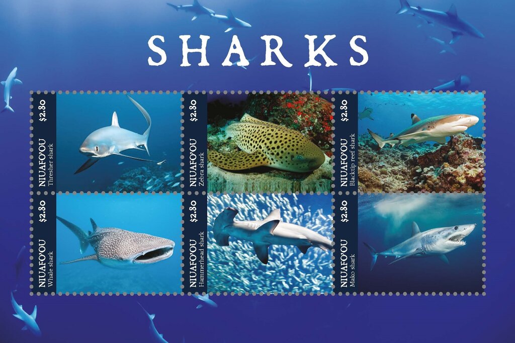 Sharks