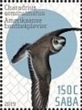 Birds of Saba