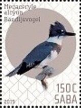 Birds of Saba