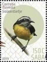 Birds of Saba