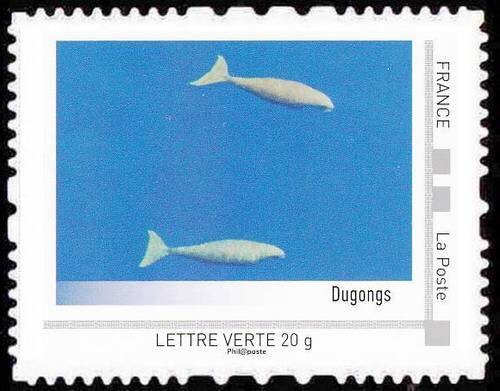 Mayotte