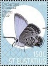 Butterflies of St Eustatius