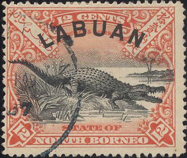 Saltwater Crocodile (Crocodylus porosus)