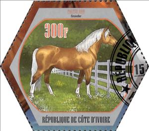 Stamp, Morgan, Cinderellas,  , Animals (Fauna), Horses, Mammals