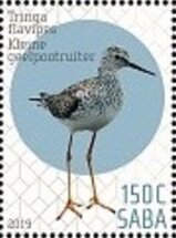 Birds of Saba