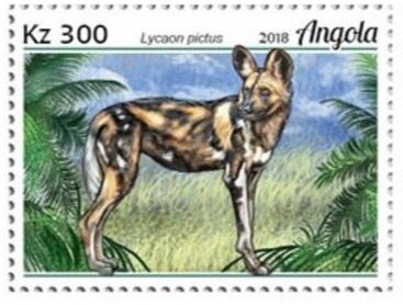 Lycaon pictus