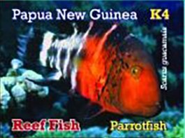 Parrotfish