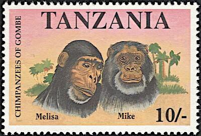 Melisa, Mike