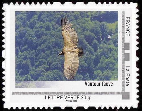 The Pyrénées