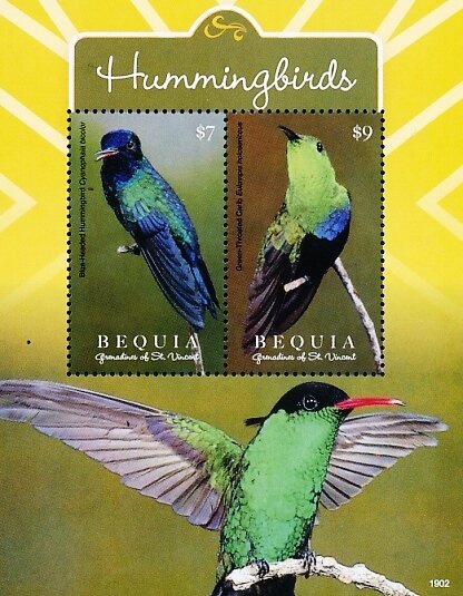 Hummingbirds