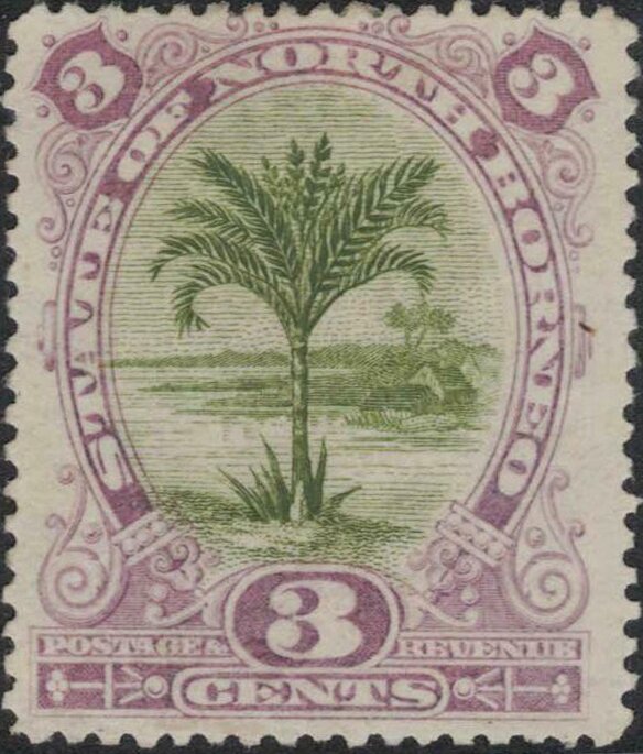Sago Palm