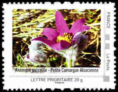 Alsace