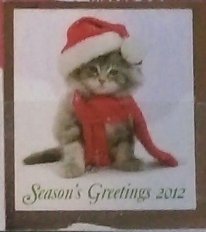 Cat in red hat and Scarf