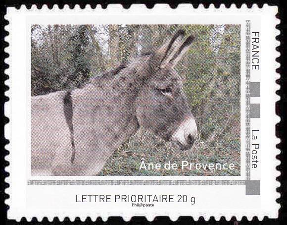 Donkey