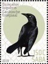Birds of Saba