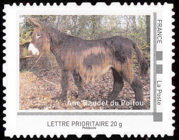 Donkey