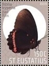 Butterflies of St Eustatius