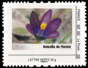 Stamp, Port-Cros, France,  , Plants (Flora)