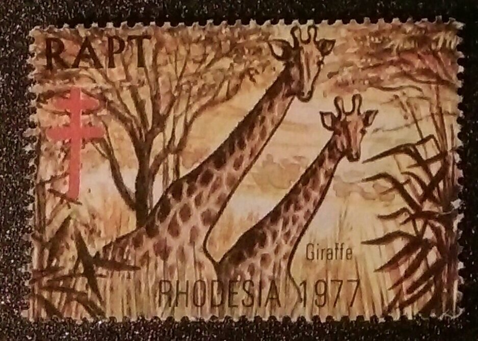 RAPT Giraffe